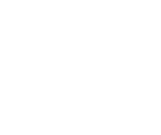 Z&H Global Finance